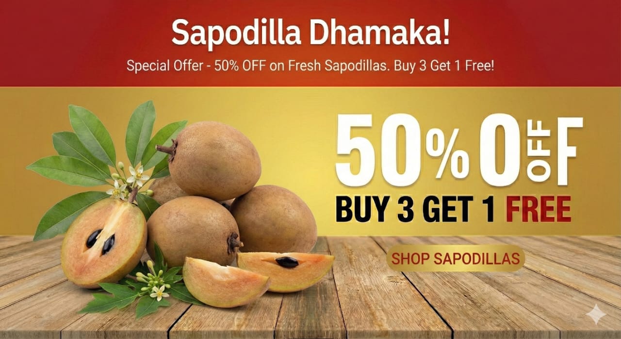 WhatsApp Image 2025-12-17 at 12.40.51 AM